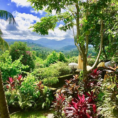 Gunung Paradis Retreat Munduk Екстериор снимка