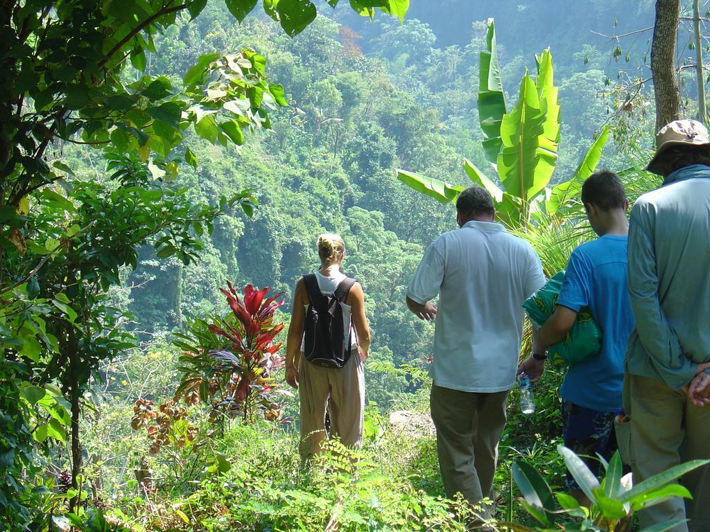 Gunung Paradis Retreat Munduk Екстериор снимка