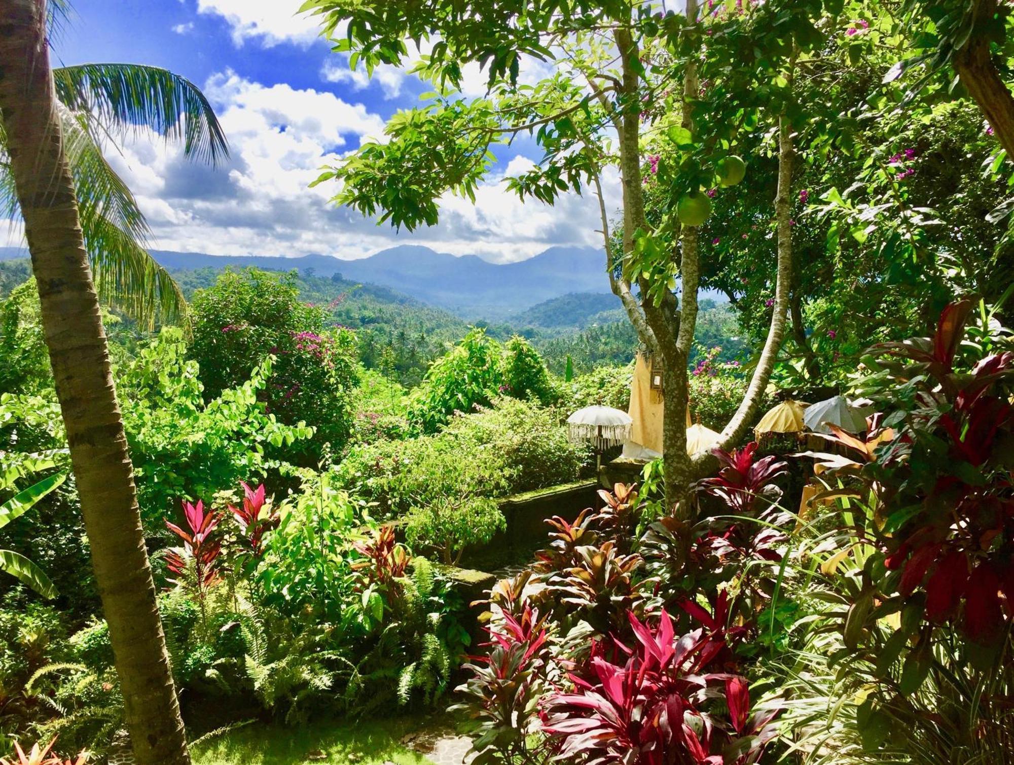 Gunung Paradis Retreat Munduk Екстериор снимка