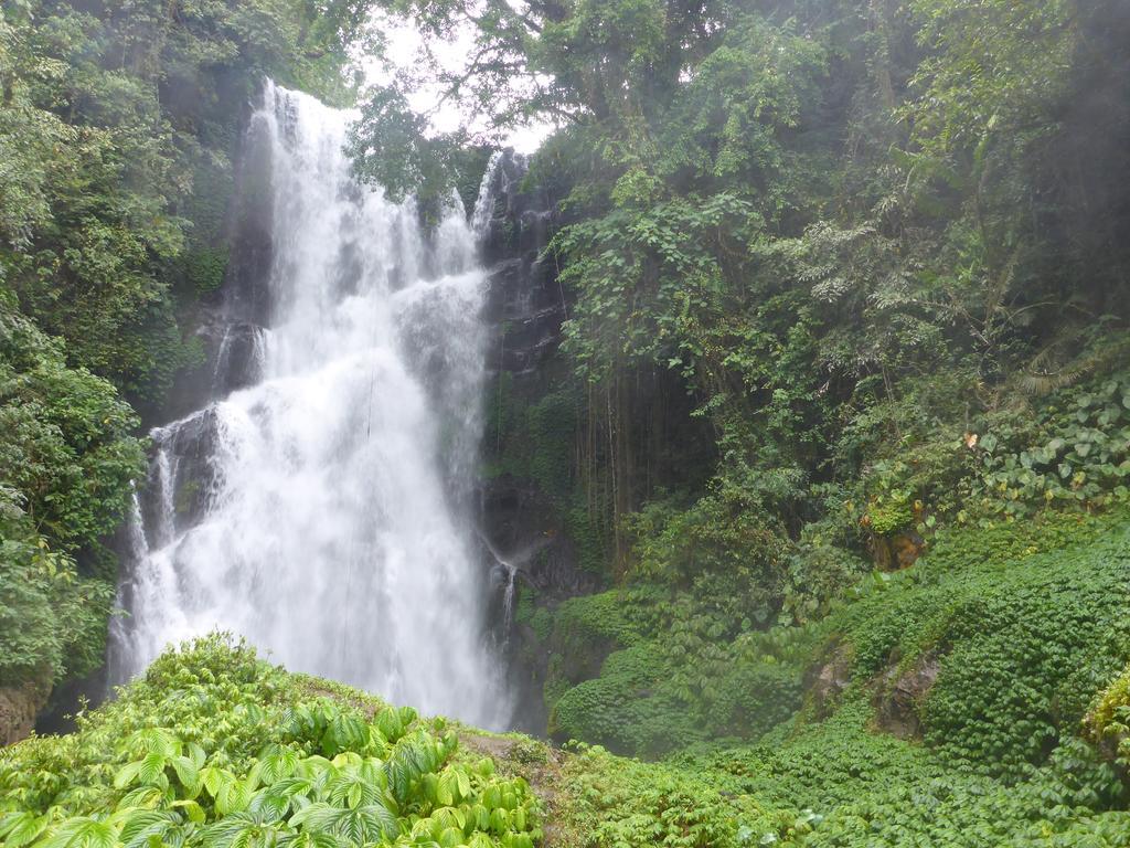 Gunung Paradis Retreat Munduk Екстериор снимка