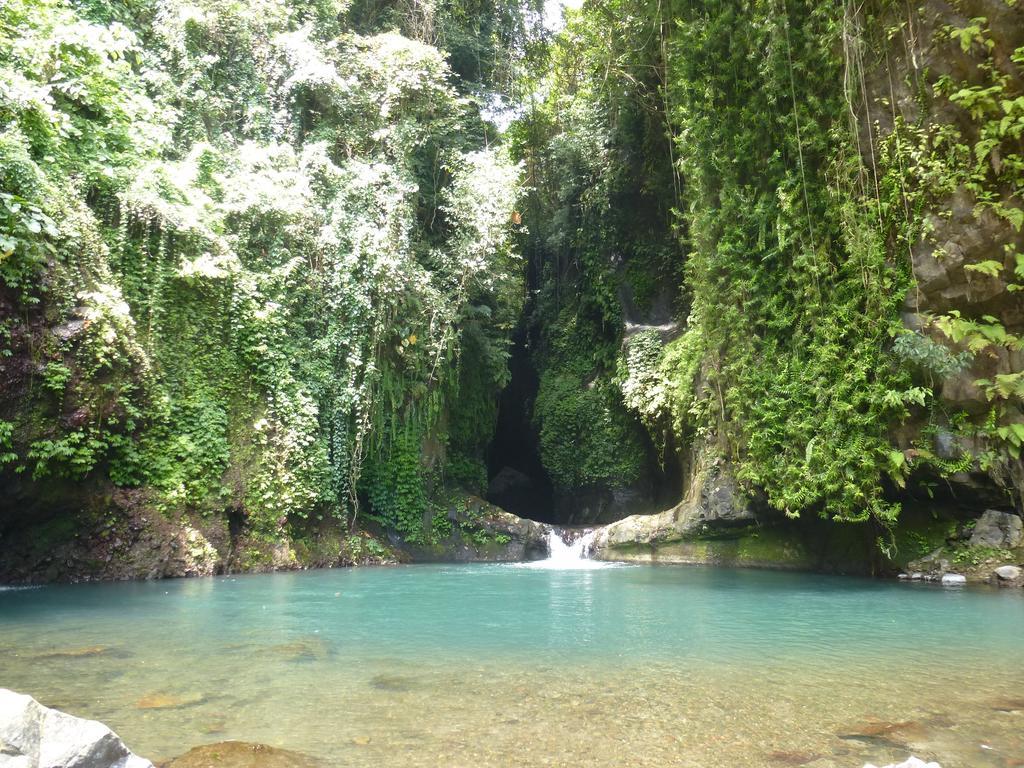 Gunung Paradis Retreat Munduk Екстериор снимка