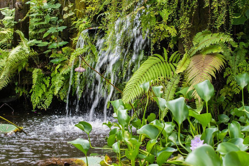 Gunung Paradis Retreat Munduk Екстериор снимка
